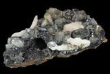Cerussite Crystals with Bladed Barite on Galena - Morocco #98722-1